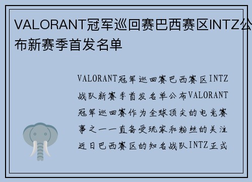 VALORANT冠军巡回赛巴西赛区INTZ公布新赛季首发名单