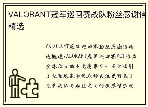 VALORANT冠军巡回赛战队粉丝感谢信精选